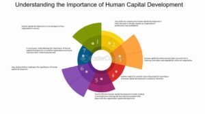 8176872188: Understanding Its Potential Significance