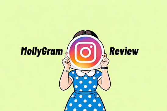 InstaStoriesViewer